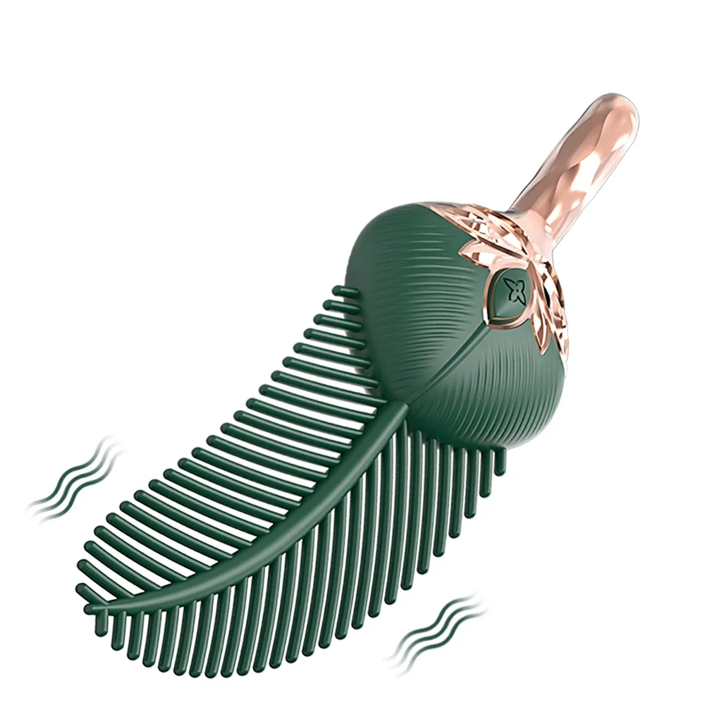 Clitoris vibrator